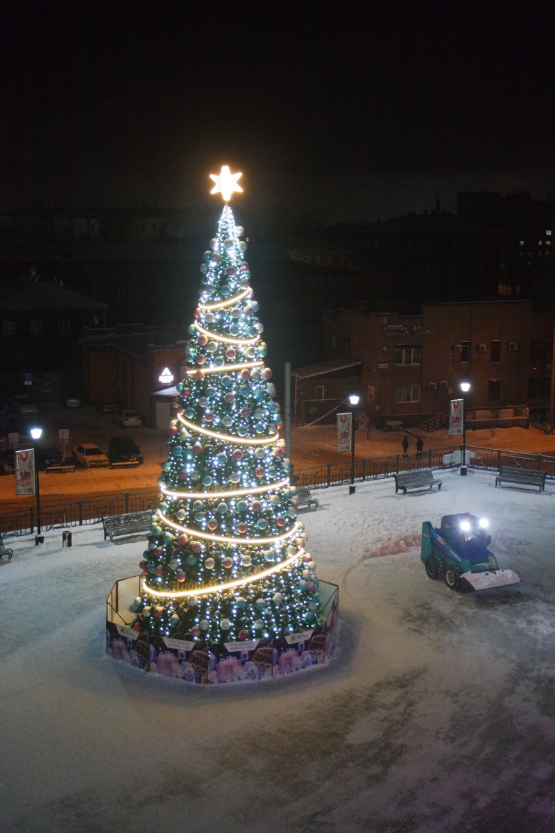 очень люблю деловитых маленьких снегоуборочников:)