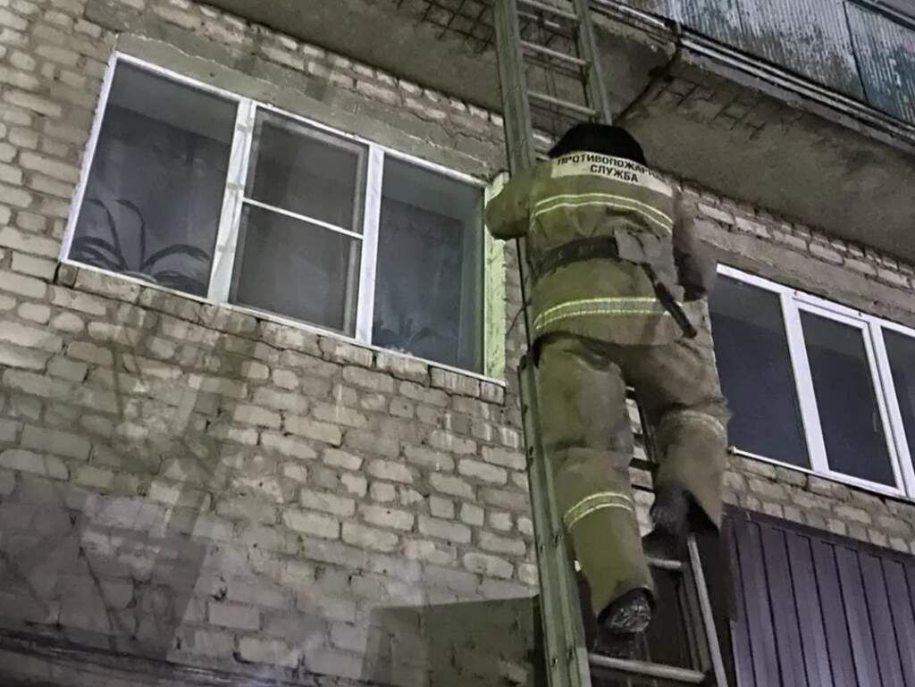    Фото: Противопожарная служба Курской области