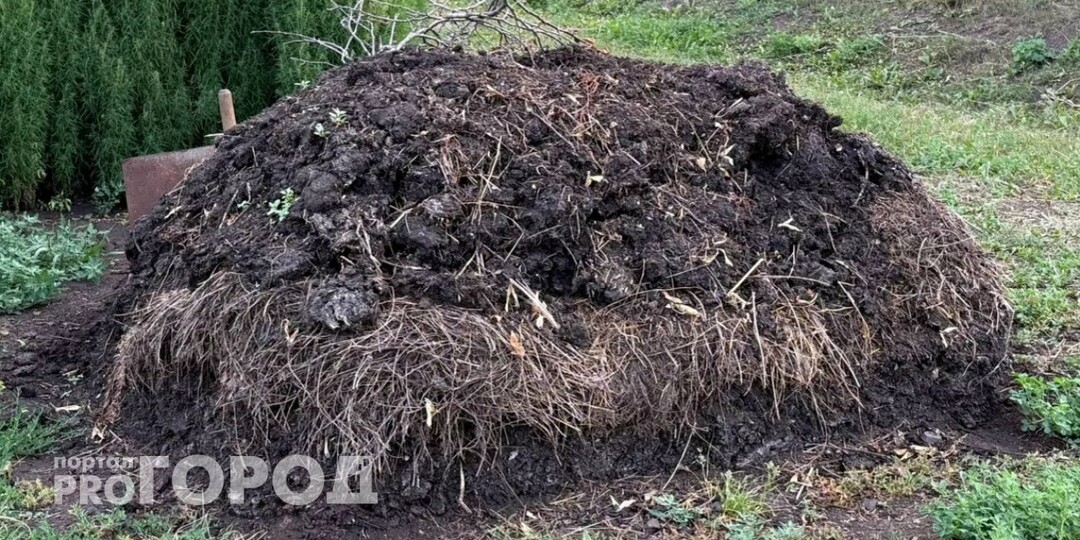 За зиму сгниют и крупные ветки, и ботва: всегда так ускоряю компост - проверенный лайфхак для дачников