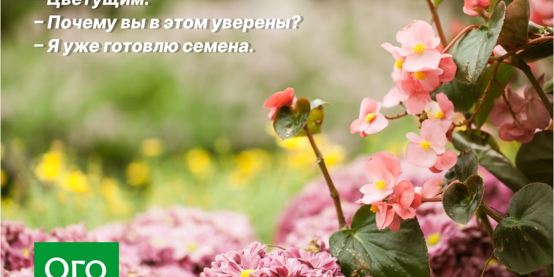 А вы уже подготовили