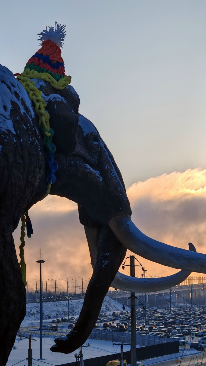 мамонт и вид на Академический мост