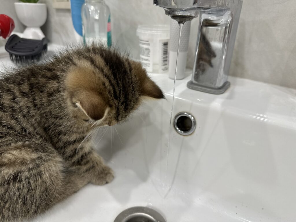    Фото: Катерина Заякина Полина Анкушина