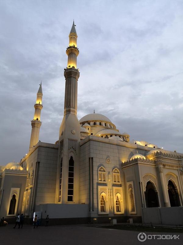 Фото из интернета