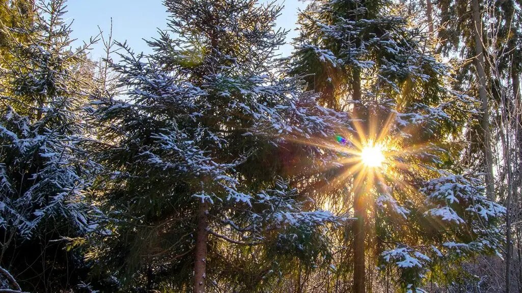    Фото: vm.ru Олеся Шмелева