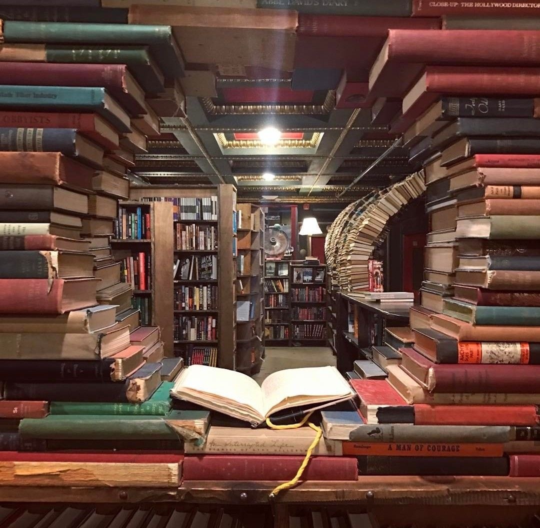 Когда знания становятся «мусором»