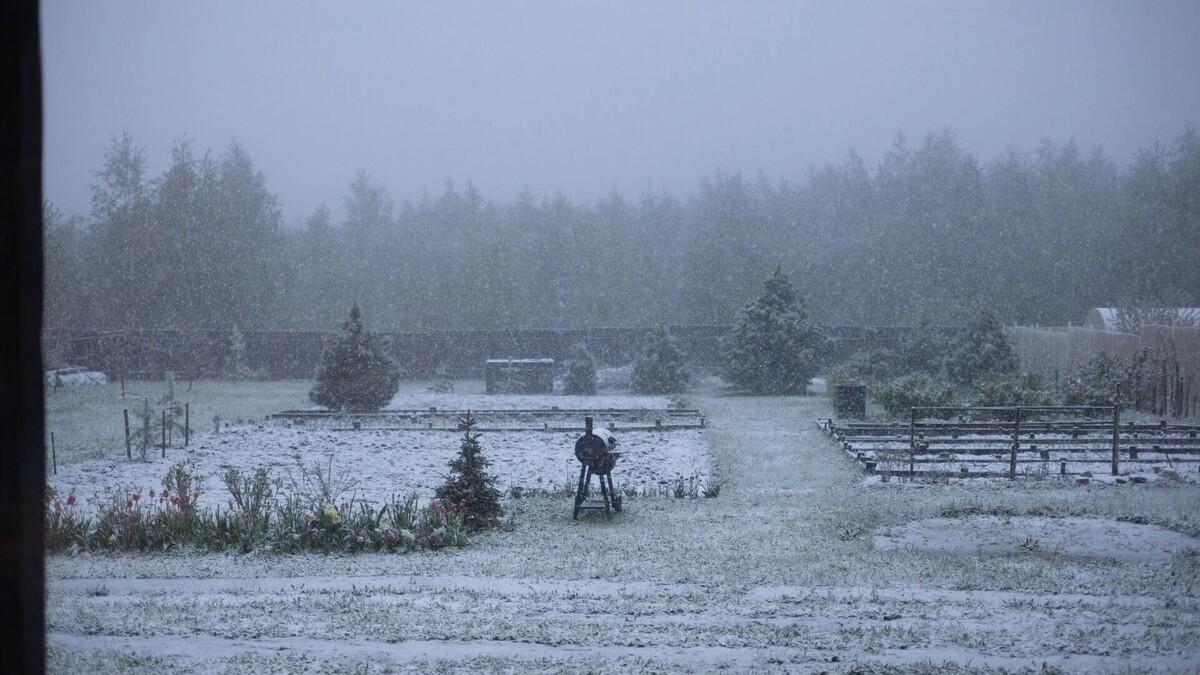    Прогноз погоды с 7 по 9 января в Нижнем Новгороде   newsnn.ru