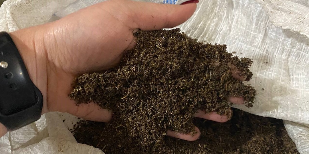 Компост или перегной: в чём разница и что полезнее для ваших грядок?