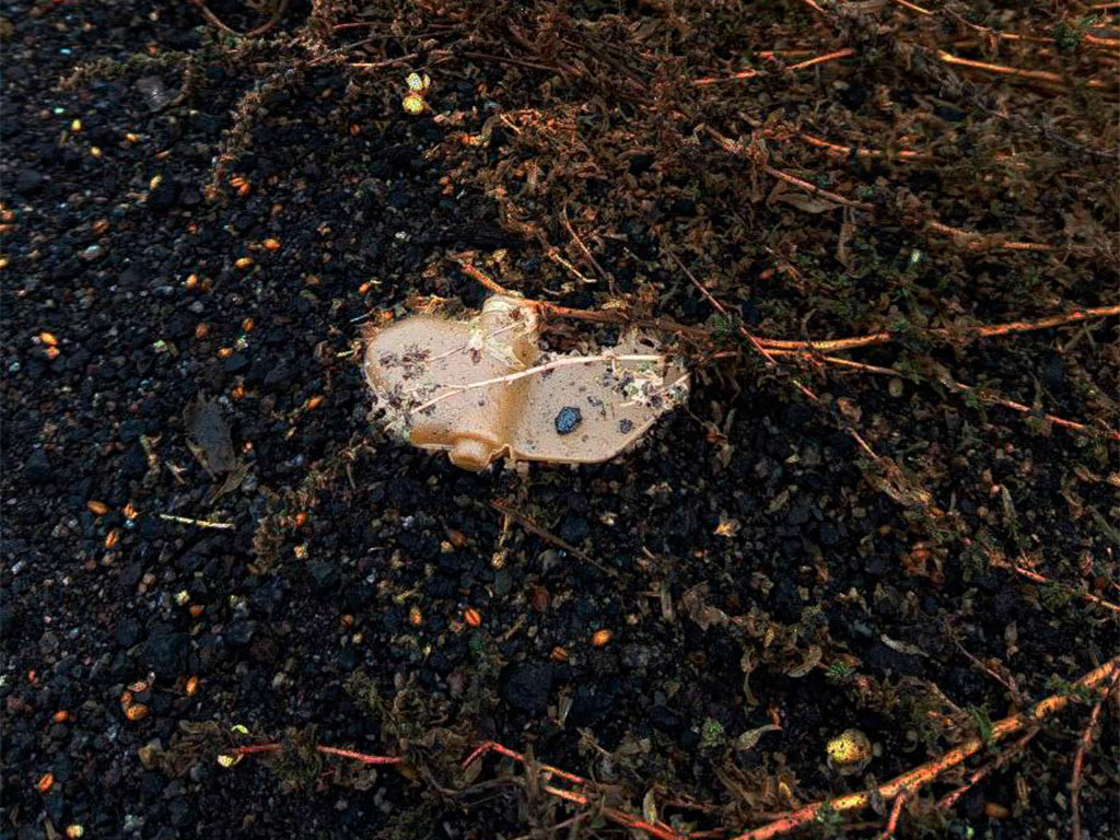     Фото: t.me/vvgladkov (архив)