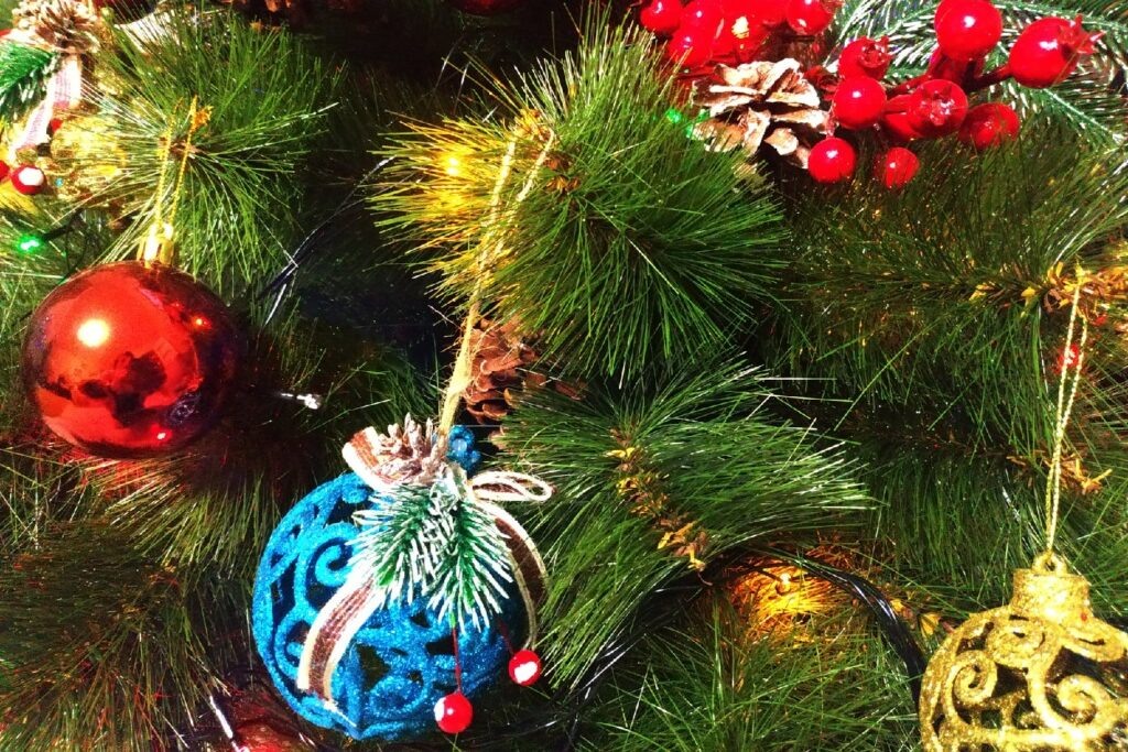    Фото: Елена Костюченкова