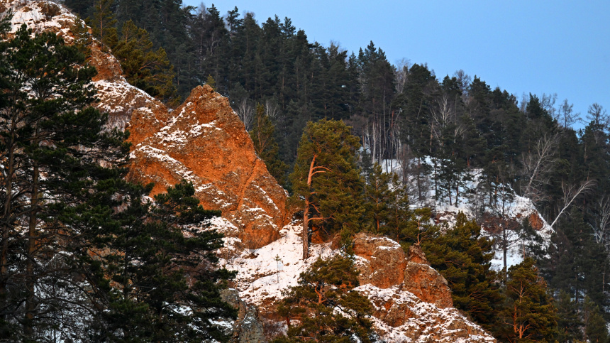    Фото: © РИА Новости/Илья Наймушин