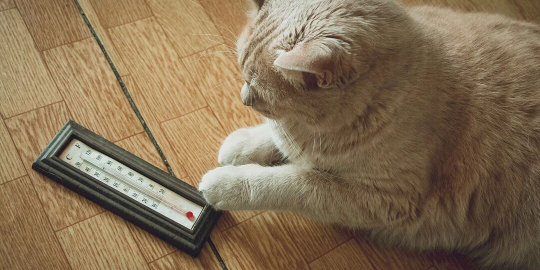 Сильные морозы ожидаются в Карелии