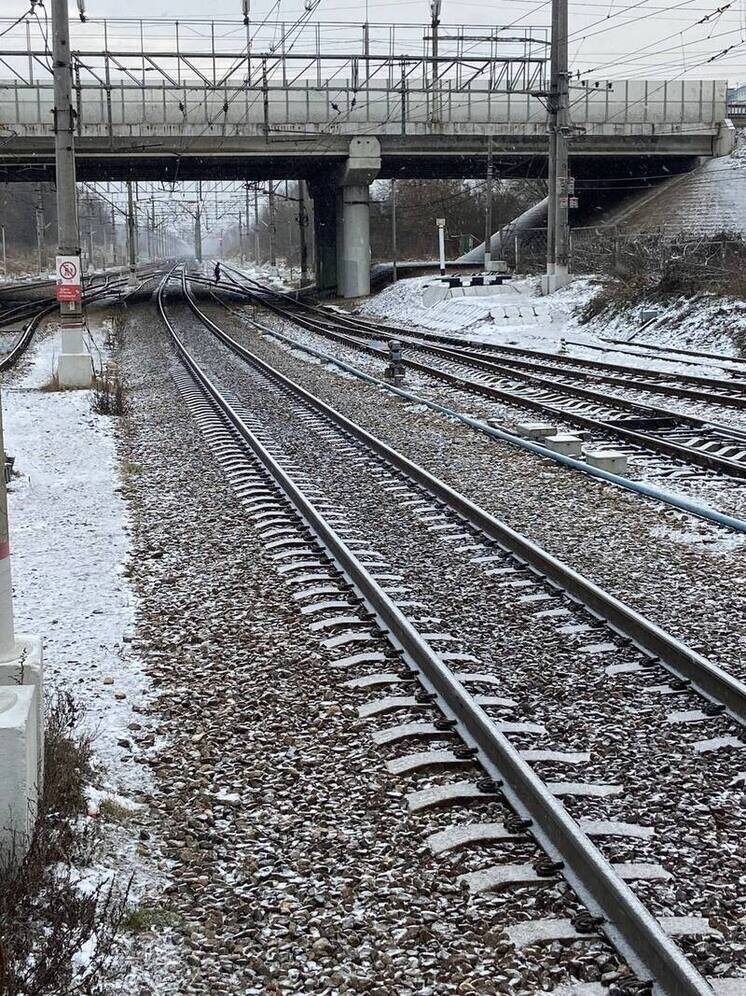   Елена Полякова