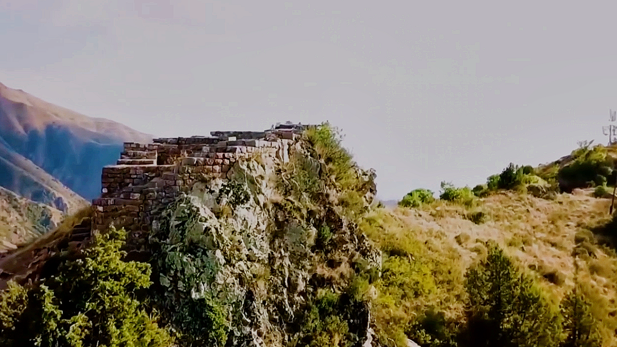 Источник: https://ren.tv/