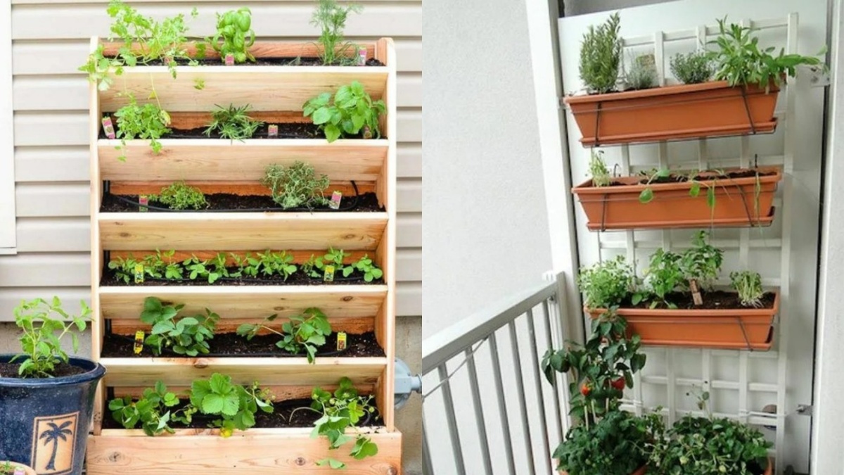 Каждый ярус специализируется на определенных типах растений