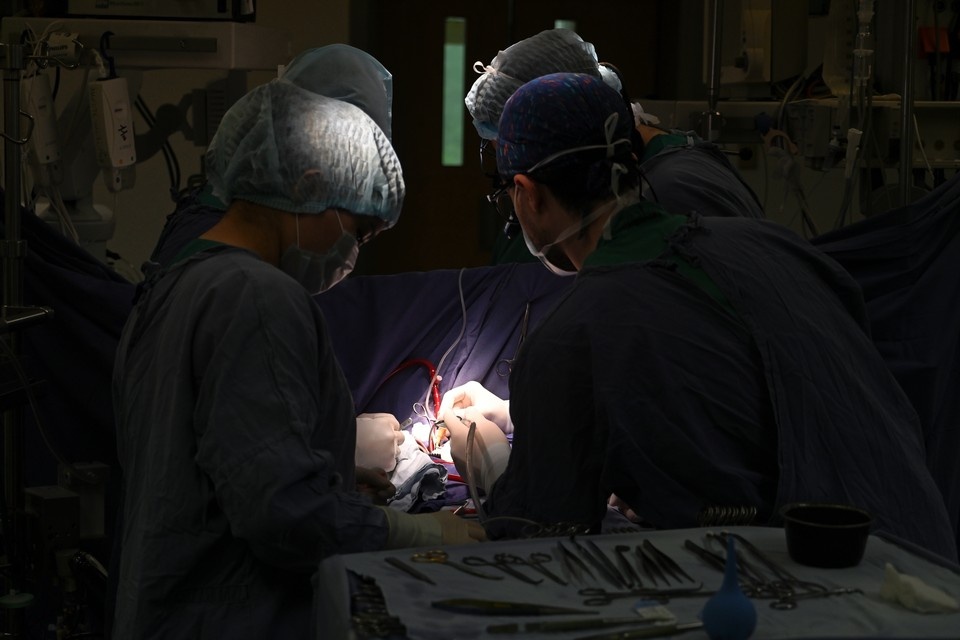    Прорыв в лечении и выявлении рака: в России анонсировали разработку уникального теста Алина МАКЕЕВА