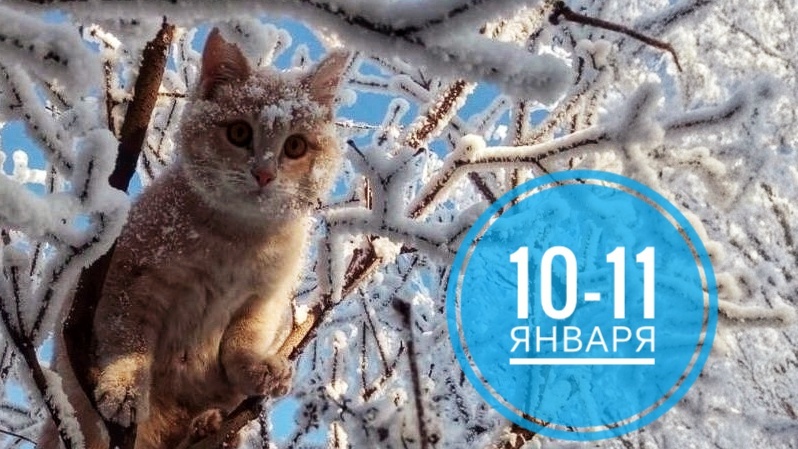 Нумерологический прогноз на 10-11 января