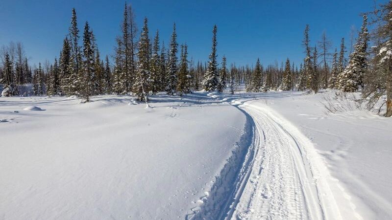   Фото: Федор Воронов / «Ямал-Медиа»