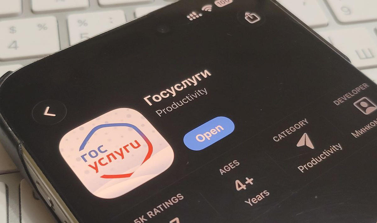     Госуслуги. Автор: Виктор Субботин. Фото: редакция.