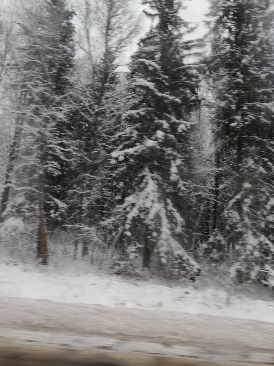 Фото сделано на ходу, поэтому немного смазано... 