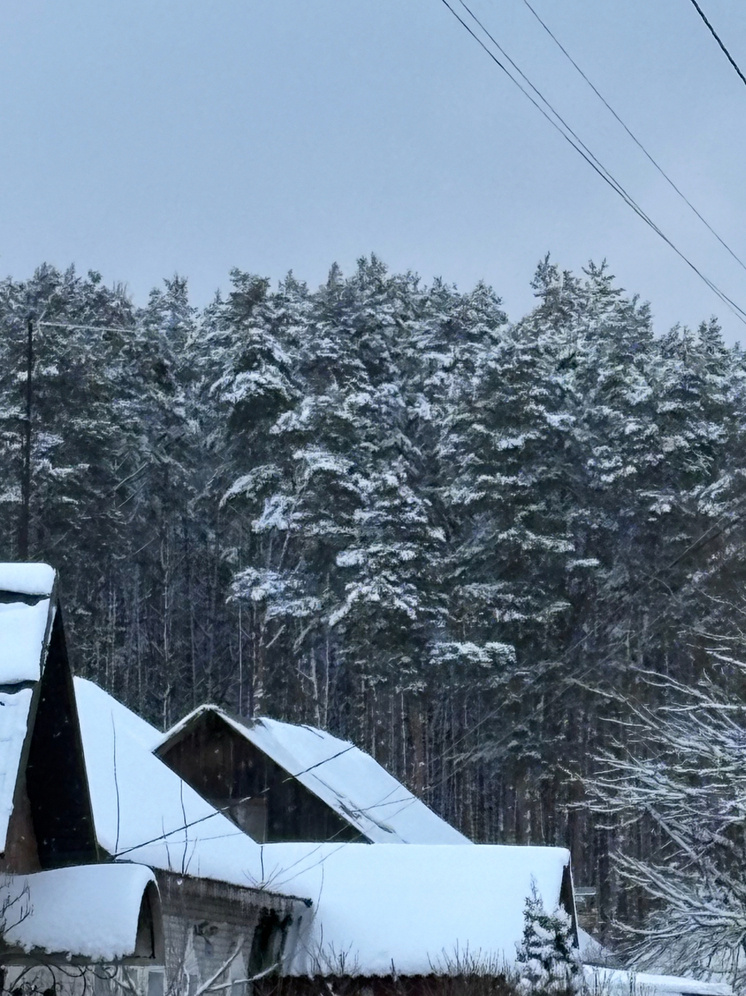     Фото: «МК Черноземье»