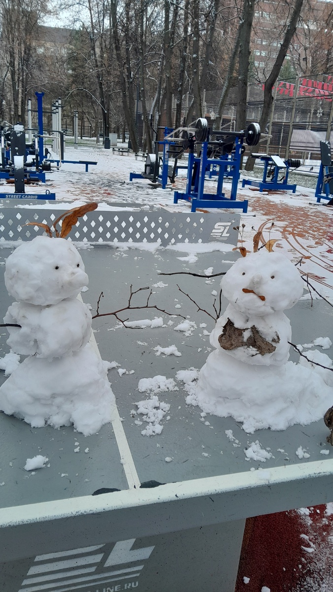 Фото автора  , снеговики тоже)))