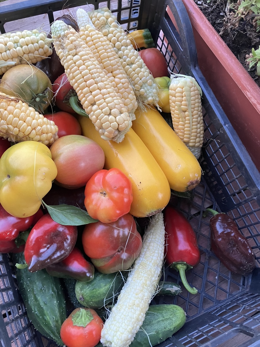 Тут много всего. Фото автора