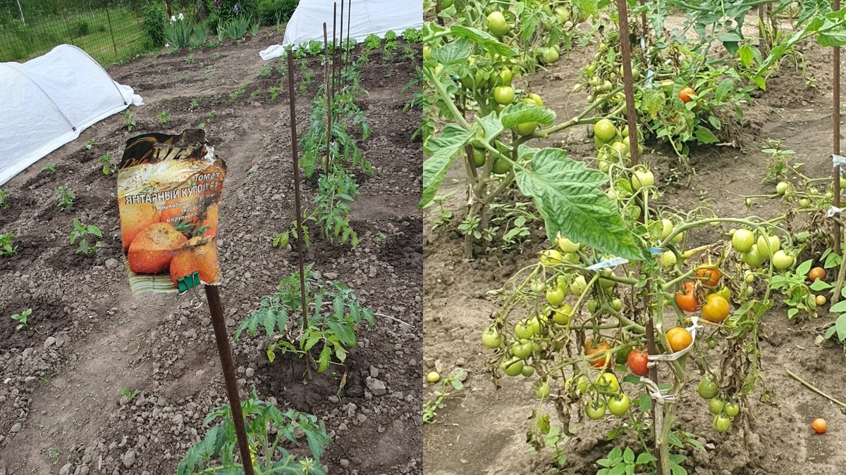 Реальность против рекламы - мой горький опыт с разрекламированными новинками