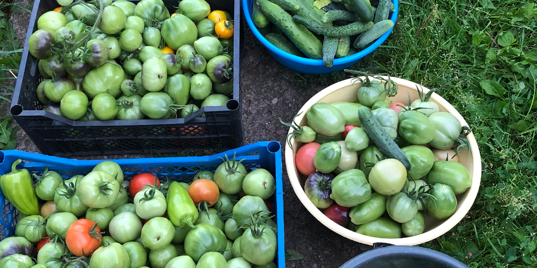 🌿 Огород без спины в дугу: мои находки за годы