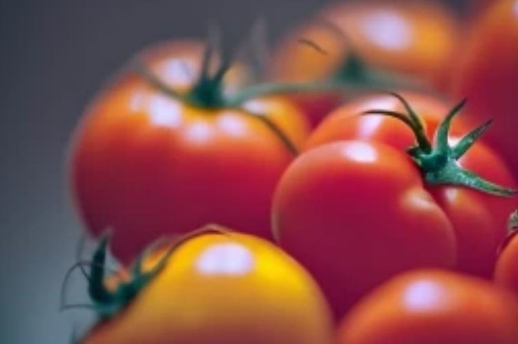 Белгородская область в 2025 году закрепила статус одного из лидеров органического производства в России