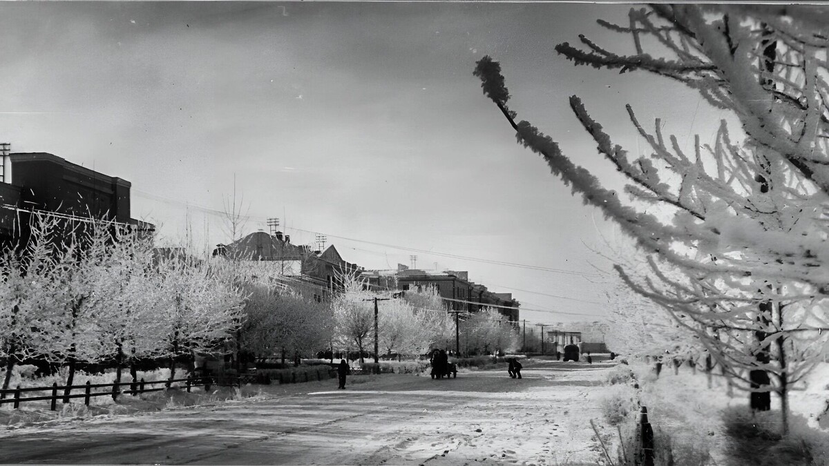    Комсомольск-на-Амуре   Администрация Комсомольска-на-Амуре