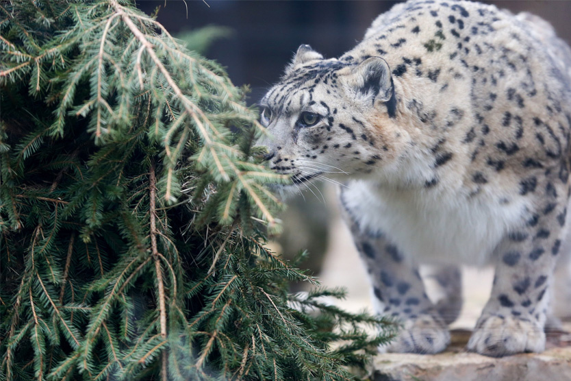     Фото: Сергей Ведяшкин / Агентство «Москва»