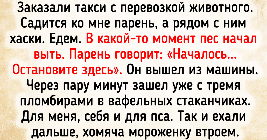 16 занимательных историй о таксистах и их пассажирах