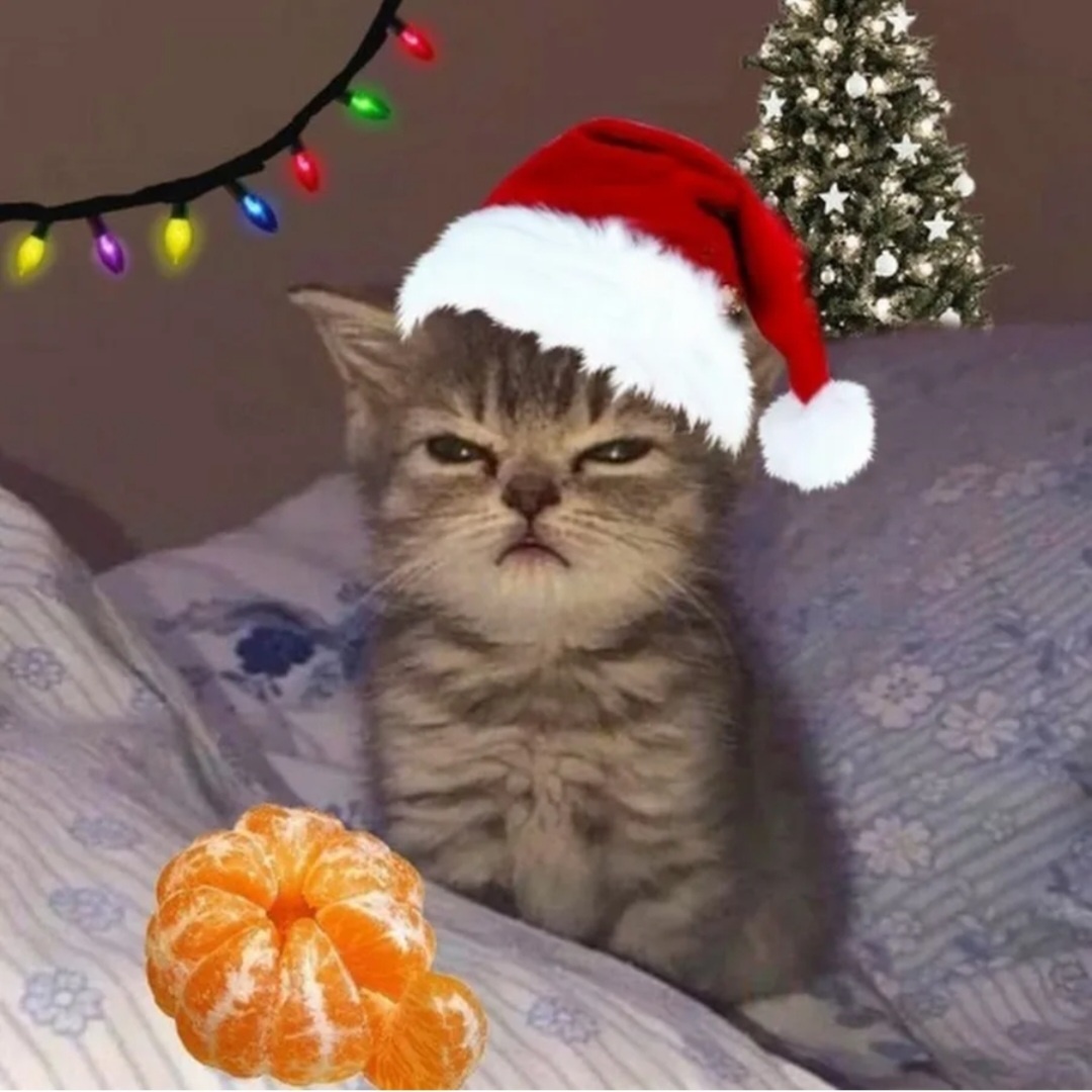 Новогодний нытик