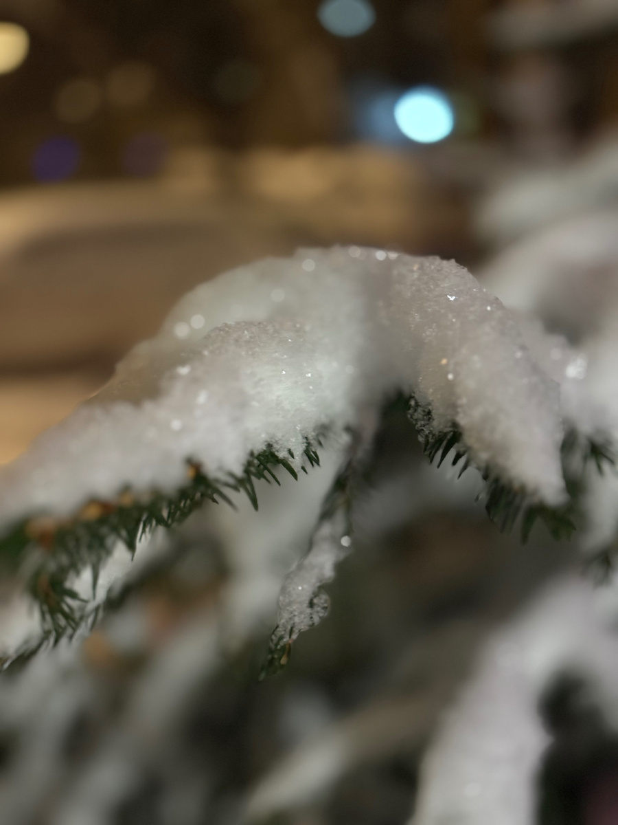 Фото автора.