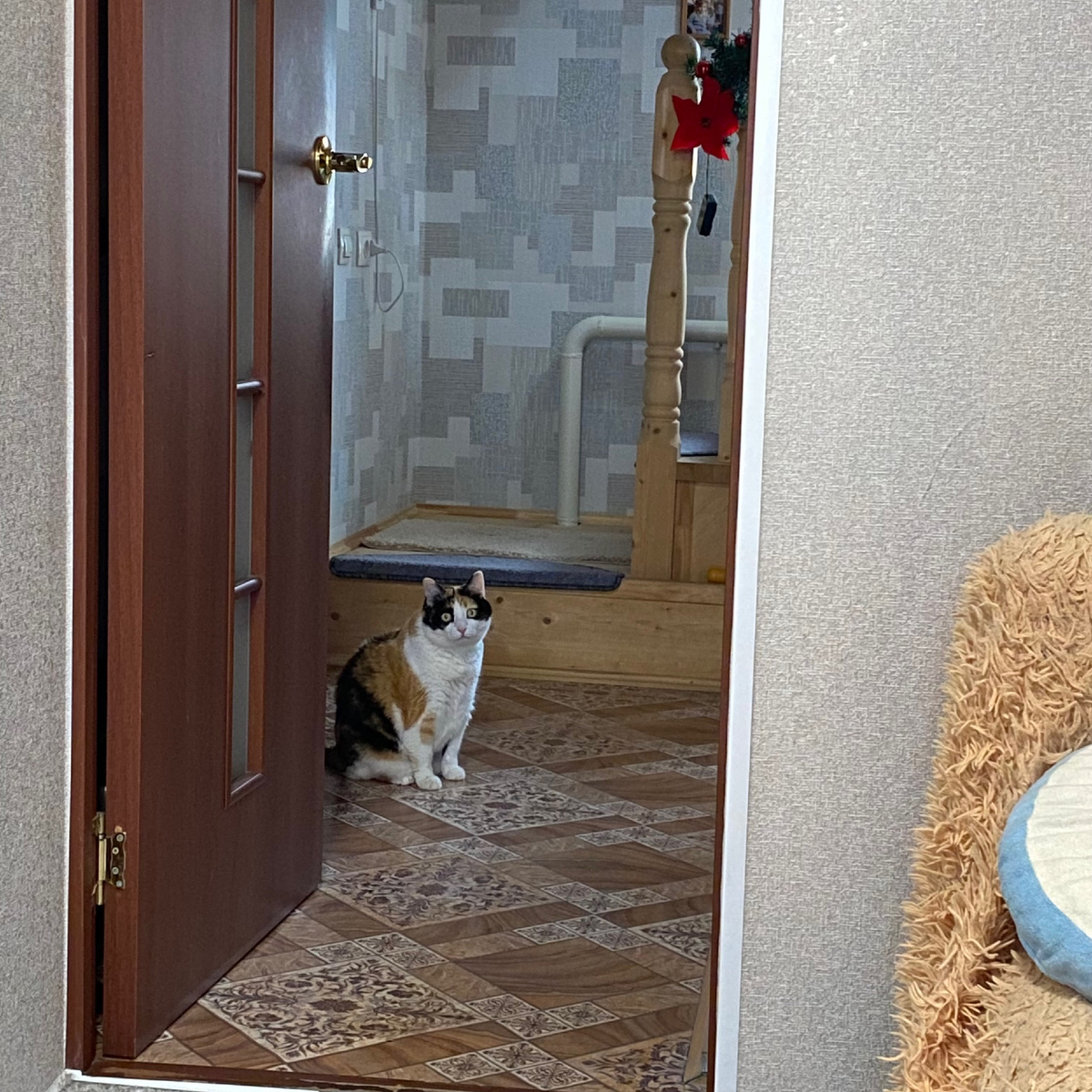 Вот она хулиганка