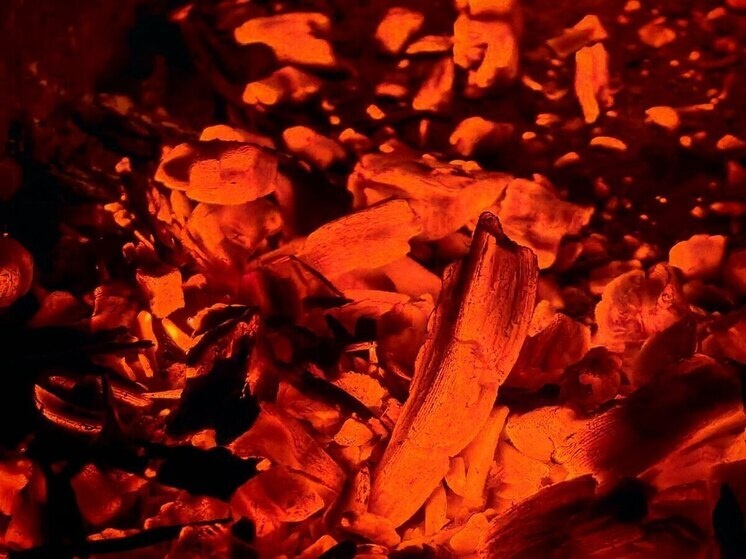     Фото: архив «МК в Калининграде».