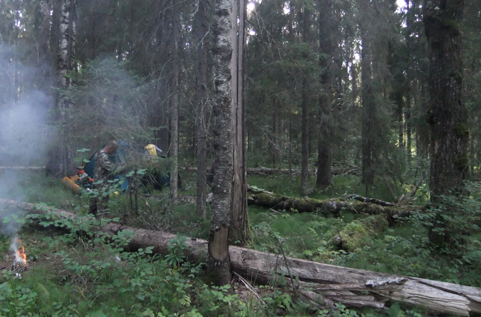 Рис. 2. Где-то в Вологодской тайге, летом 2014 года. Точка принятия решения.
Абсент ещё не выпит. Фото: Елена Некрасова
