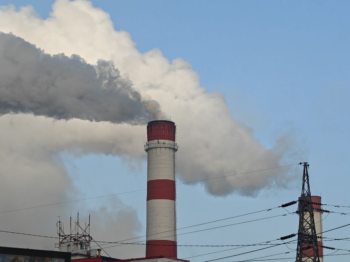    Фото: Юрий Серебренников/BFM Кубань