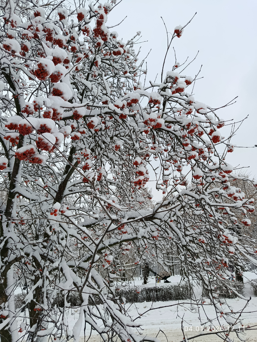 Тамбовская набережная 
