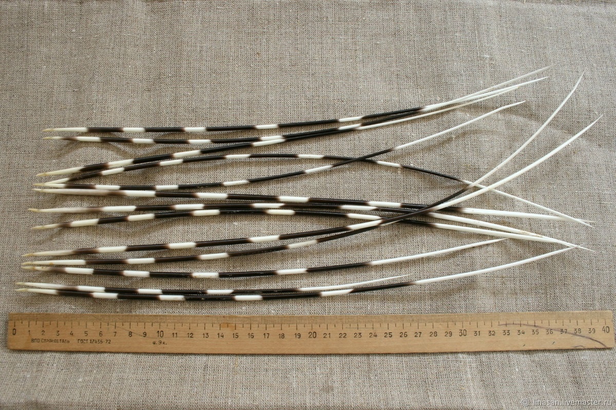 Фото с сайта: https://dzen.ru/a/XHJ0AqZvGgC05YF2