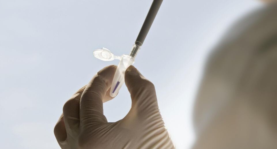    Daniel Schoenen/imageBROKER.com / www.globallookpress.com