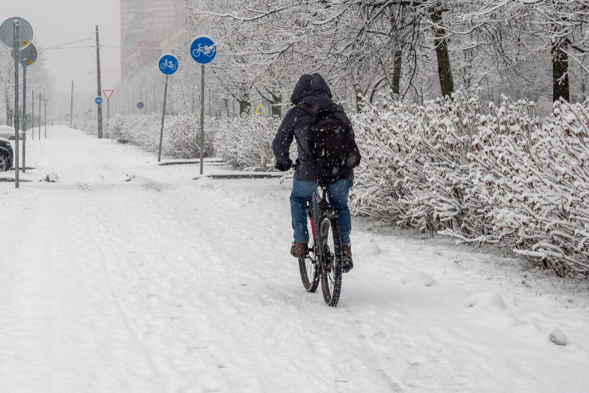Фото: Олег Золото / «Петербургский дневник»