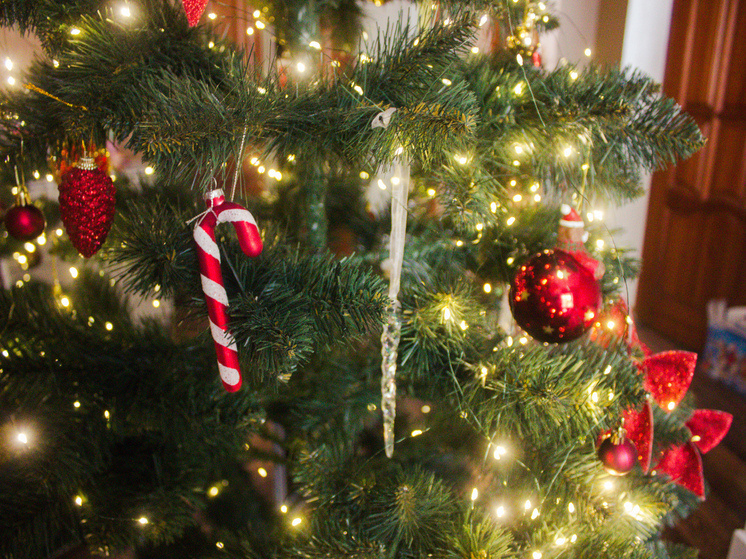     Фото: Архив МК в Питере.