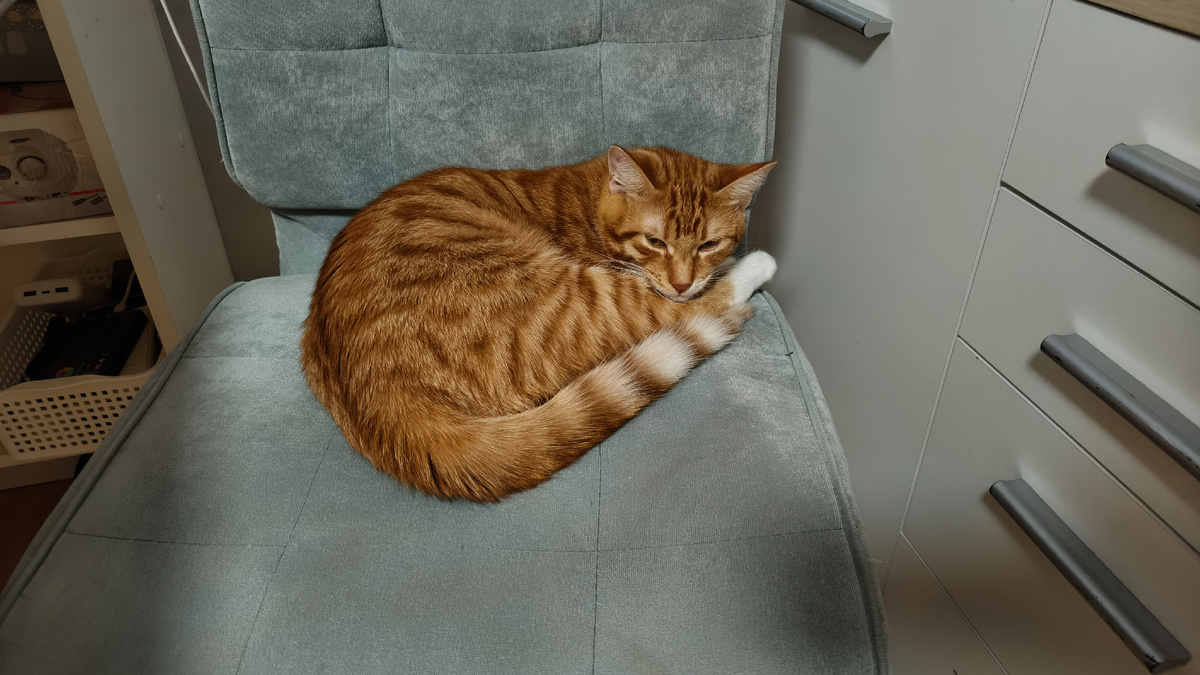 Мистер Макс-сых