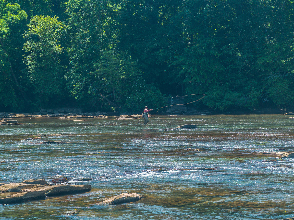 Изображение: Fly Fishing / Vecteezy