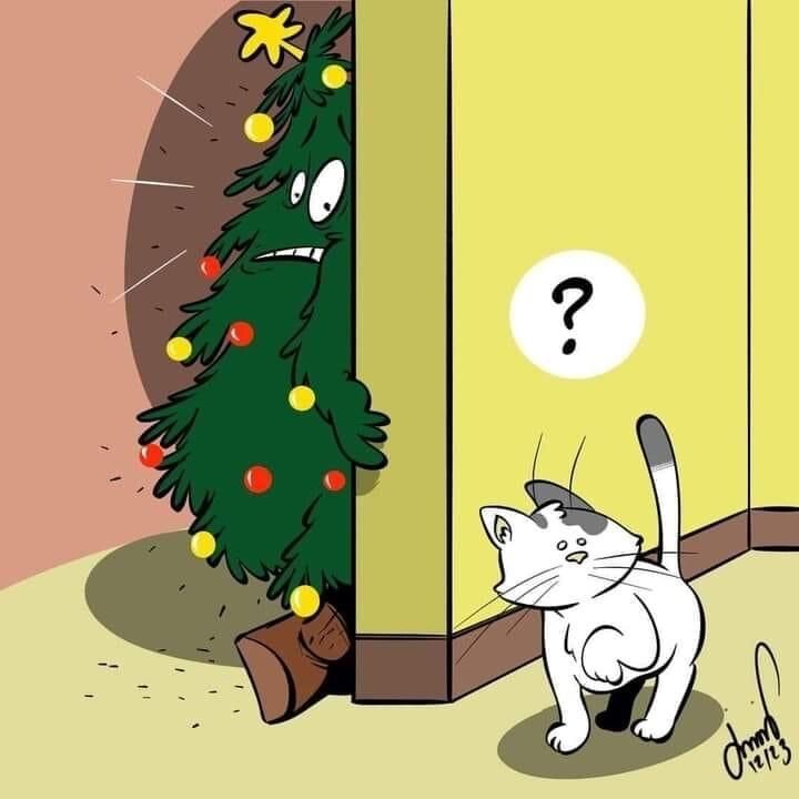 -Где же она?!