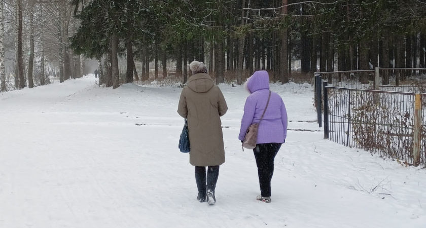    Фото: progorod43.ru