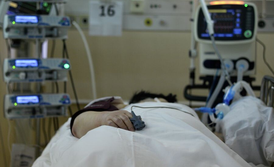     / Источник: © Владимир Астапкович/РИА Новости