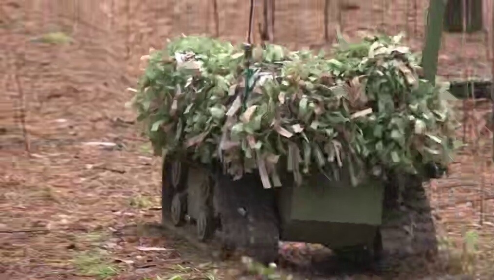    Скриншот из телеграм-канала Владимира Сальдо