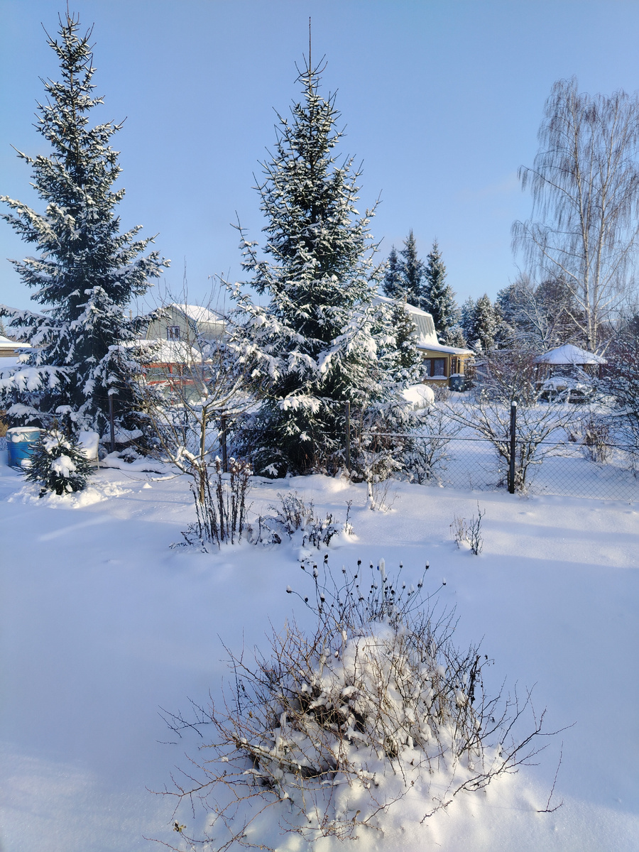 Как картина художника